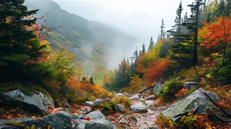 The Healing Power of Nature: Therapeutic Benefits of American Fall Foliage
